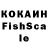 Галлюциногенные грибы Psilocybine cubensis KIHAY