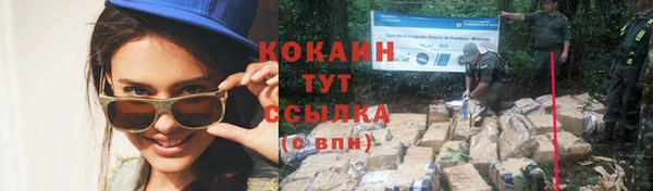 соль ск Осинники