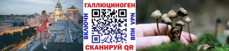MEGA ТОР  Балей  Псилоцибиновые грибы Magic Shrooms 