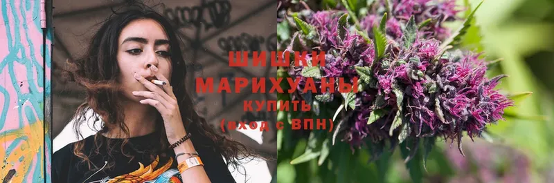 МАРИХУАНА SATIVA & INDICA  цены наркотик  Балей 